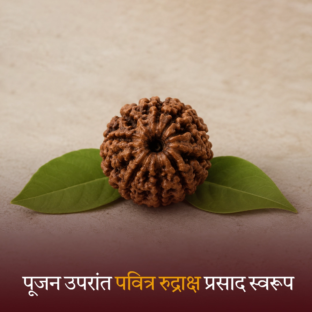 पूजन उपरांत विशेष रुद्राक्ष